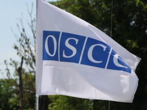 Крымские журналисты, выступив на Совещании ОБСЕ, совершили информационный прорыв, — Фикс