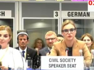 Канада, Франция и Украина покинули зал заседаний ОБСЕ после начала выступления Марии Волконской