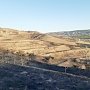 Возгорание лесной подстилки в Орджоникидзе локализовано