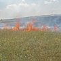 МЧС: Неосторожное обращение с огнем при приготовлении пищи на мангале стали причиной пожара в Орджоникидзе