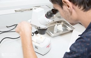 Лаборатории диагностики и защиты растений открылась в АБиП