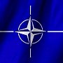 В партии Зеленского предложили отказаться от курса на вступление в НАТО