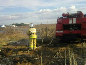 За прошедшие сутки крымские спасатели девять раз выезжали тушить горящую сухую траву