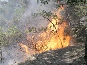 За месяц в Крыму ликвидировано 726 пожаров