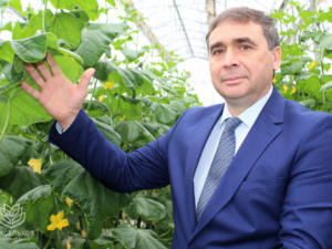 36 тысяч тонн овощей собрали крымские аграрии