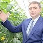 36 тысяч тонн овощей собрали крымские аграрии
