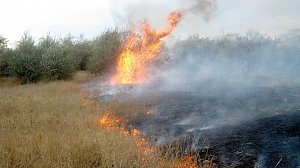 Более 500 квадратных метров горящей сухой травы потушили в Советском районе