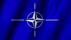 В НАТО выступили за выполнение Украиной «формулы Штайнмайера»