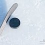 В первый раз в Севастополе в хоккейном матче сразятся силовики и звезды московского хоккея