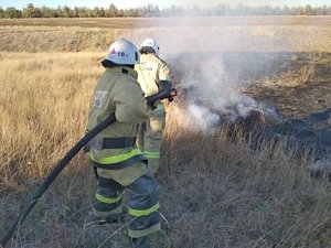 Крымские пожарные ликвидировали возгорание сухой растительности