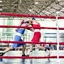 Юношеская сборная России по боксу сделала тренировочной сбор в Крыму