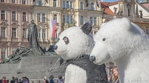 Медвежья услуга: в Севастополе назначили ответственного за все проколы правительства России и «Единой России»