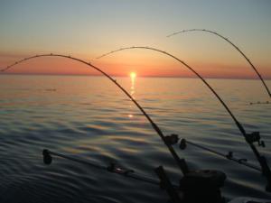 Запрет на рыболовство в определенных участках Черного моря вступит в силу с 1 ноября