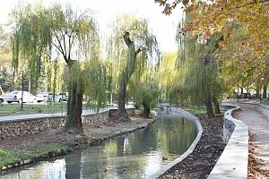 Вдоль обновленной набережной в Симферополе высадят 100 деревьев