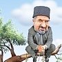 Крымско-татарский политик назвал обещания Джемилева "завоевать Крым" пустой болтовней