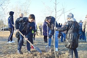 В Красногвардейском районе прошла акция «Лес Мира»