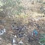 На косе Беляус общественники и местные жители убрали тонну мусора