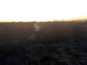 Потушили: Больше суток пожарные тушили возгорание лесной подстилки под Симферополем