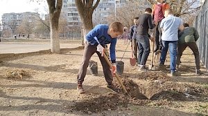 В симферопольской школе-лицее №3 продолжают высадку «Аллеи первоклассников»