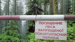 В Крыму ввели ограничение на посещение лесов