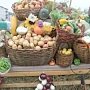 Аграрии реализуют на ярмарке в Симферополе более 190 тонн продукции 23 ноября