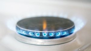 Германия оспаривает ограничение доступа «Газпрома» к OPAL