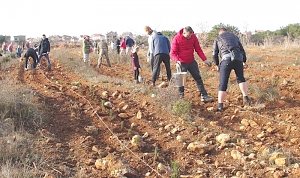 Севастопольские полицейские приняли участие в высадке более 5000 саженцев деревьев