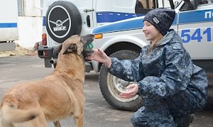 Стражи порядка исполнили детскую мечту: 12-летняя девочка из Джанкоя накануне Нового года на один день стала «хозяйкой» настоящих полицейских собак