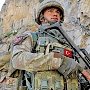 Дмитрий Новиков: Введение Турцией военных в Ливию осложнит ситуацию в регионе