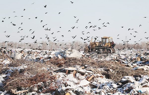 Счетная палата: Через несколько лет в 7 регионах мусор будет некуда выкидывать