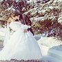 В новогоднем Крыму состоялось 176 свадеб