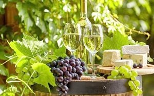 Время наливать бокалы! Крымские виноделы увеличили объемы производства в три раза