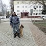 В Саках служебная собака Флаффи привела полицейских к магазину, куда подозреваемый сдал похищенный электроинструмент