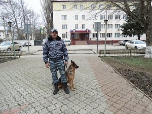 В Саках служебная собака Флаффи вывела полицейских на след похитителя