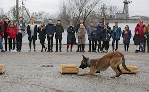 Четырёхлапые «стражи порядка» продемонстрировали крымским школьникам свои способности