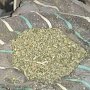 В Феодосии полицейские изъяли партию марихуаны у местного жителя