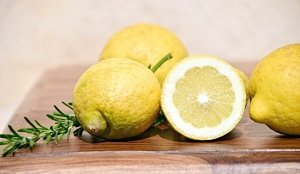 Сирия накормит Крым дешевыми лимонами и апельсинами