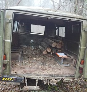 Лесной охраной пресечены факты незаконной заготовки дров в Белогорском районе