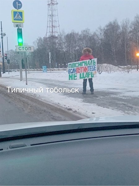 Акция «Посигналь, если Путин тебе не царь» вызвала фурор в тобольских соцсетях