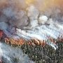 С начала года в Крыму зафиксировано уже три лесных пожара, — МЧС