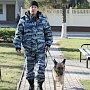 В Симферопольском районе полицейская собака Альма нашла вора и его тайник