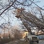 Симферопольские улицы расчищают от упавших деревьев и веток