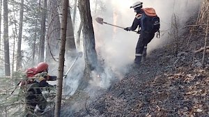 Пожарные потушили лесной пожар в Симферопольском районе