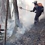 Пожарные потушили лесной пожар в Симферопольском районе