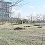 В Симферополе «Сад победы» появится в микрорайоне Маршала Жукова