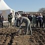 Бахчисарайские лесники высадили 3 тысячи дубов к годовщине Крымской весны