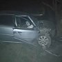 В Крыму водитель под кайфом влетел в дерево