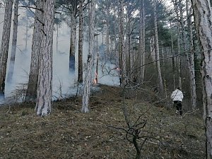 В районе Боткинской тропы в Ялте загорелся лес