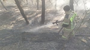 Пожар на территории Симферопольского лесничества ликвидирован