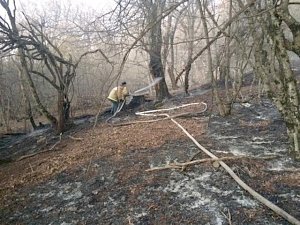 Под Бахчисараем ночью тушили лесной пожар